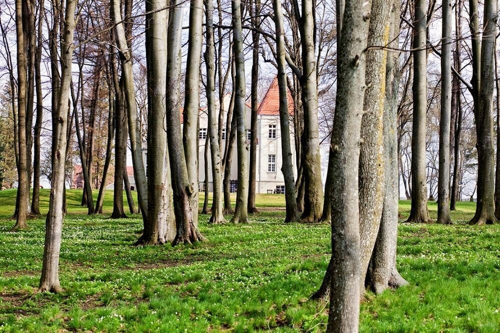 Zespol Palacowy Pacoltowo Na Wylacznosc Dış mekan fotoğraf